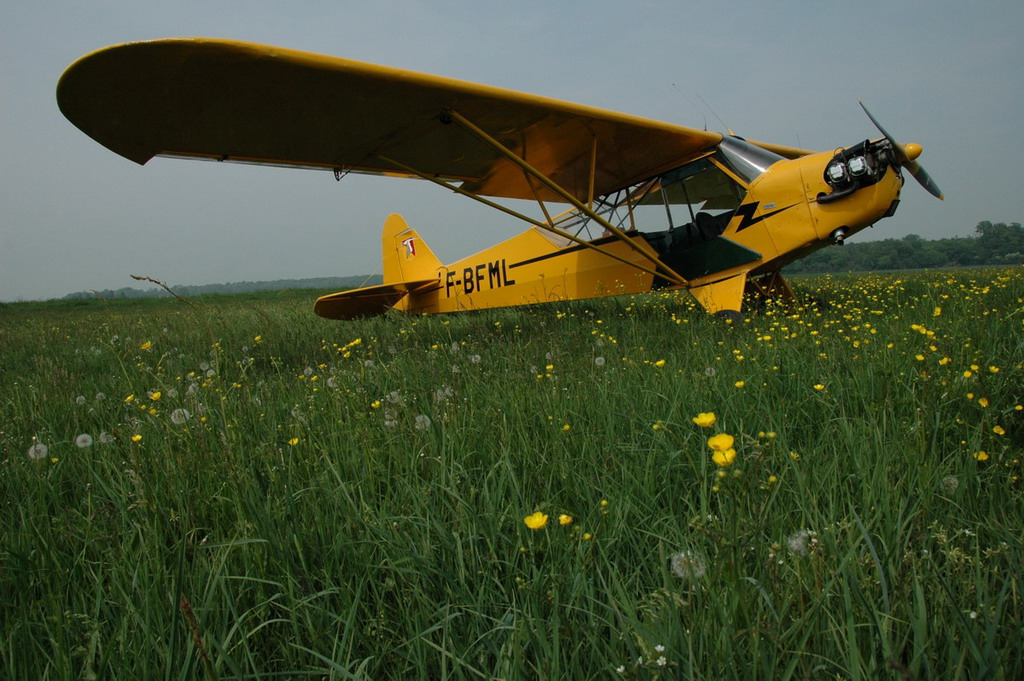 Piper J3 Cub - F-BFML