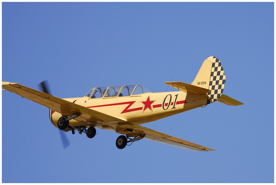 Yakovlev Yak-52 - RA-1931K