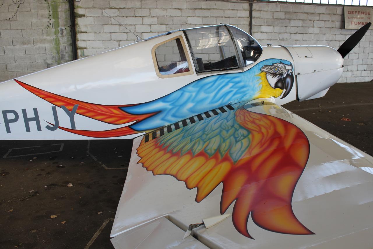 Jodel D 113 - F-PHJY