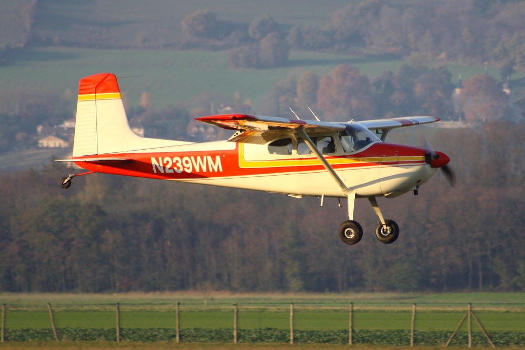 Cessna 180 - N239WM