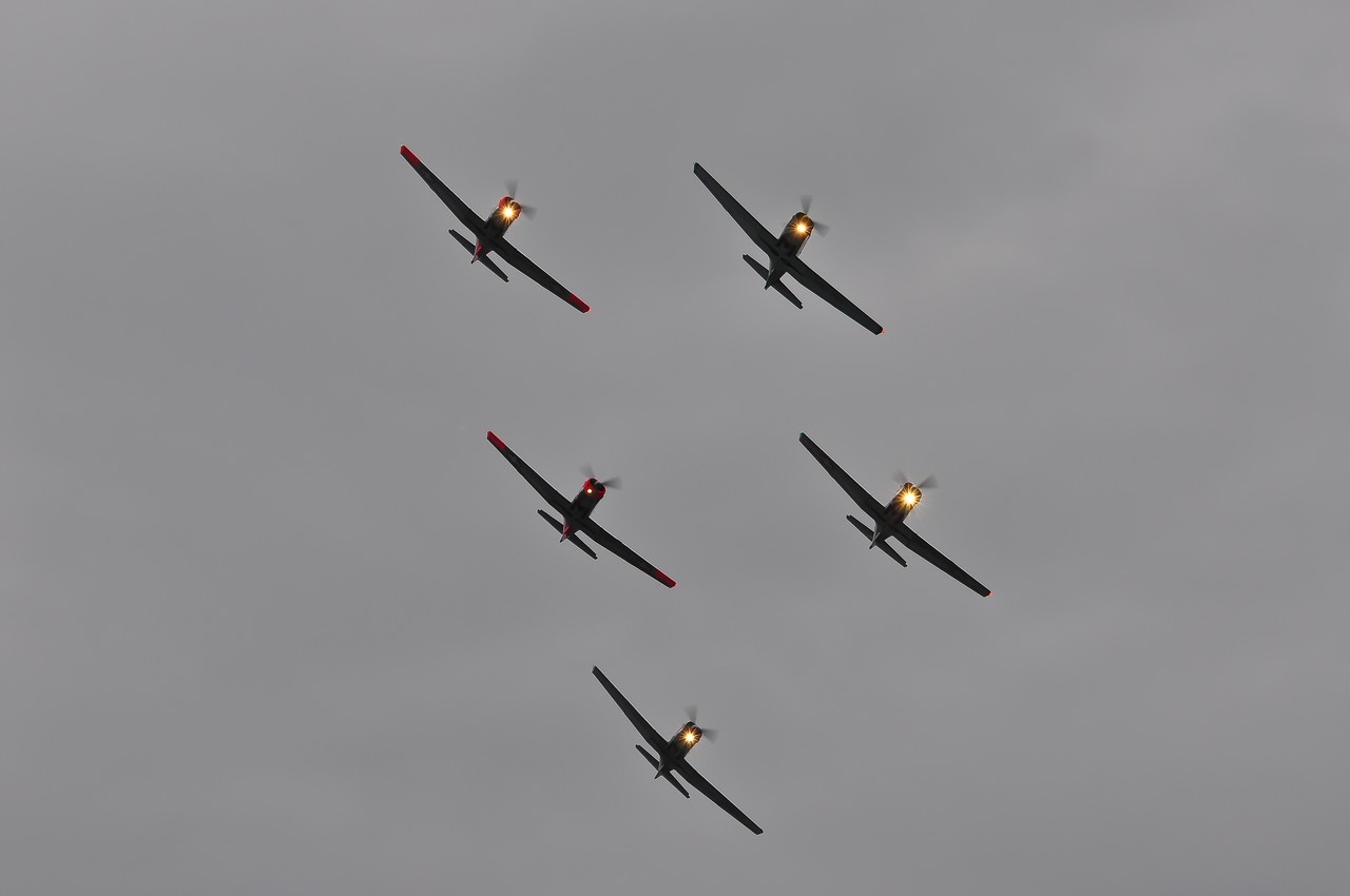 Pilatus P3 - A-815