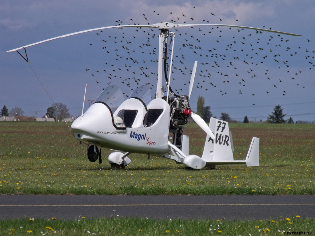 Magni Gyro M-16 Tandem Trainer - F-JUKT/77 AWR