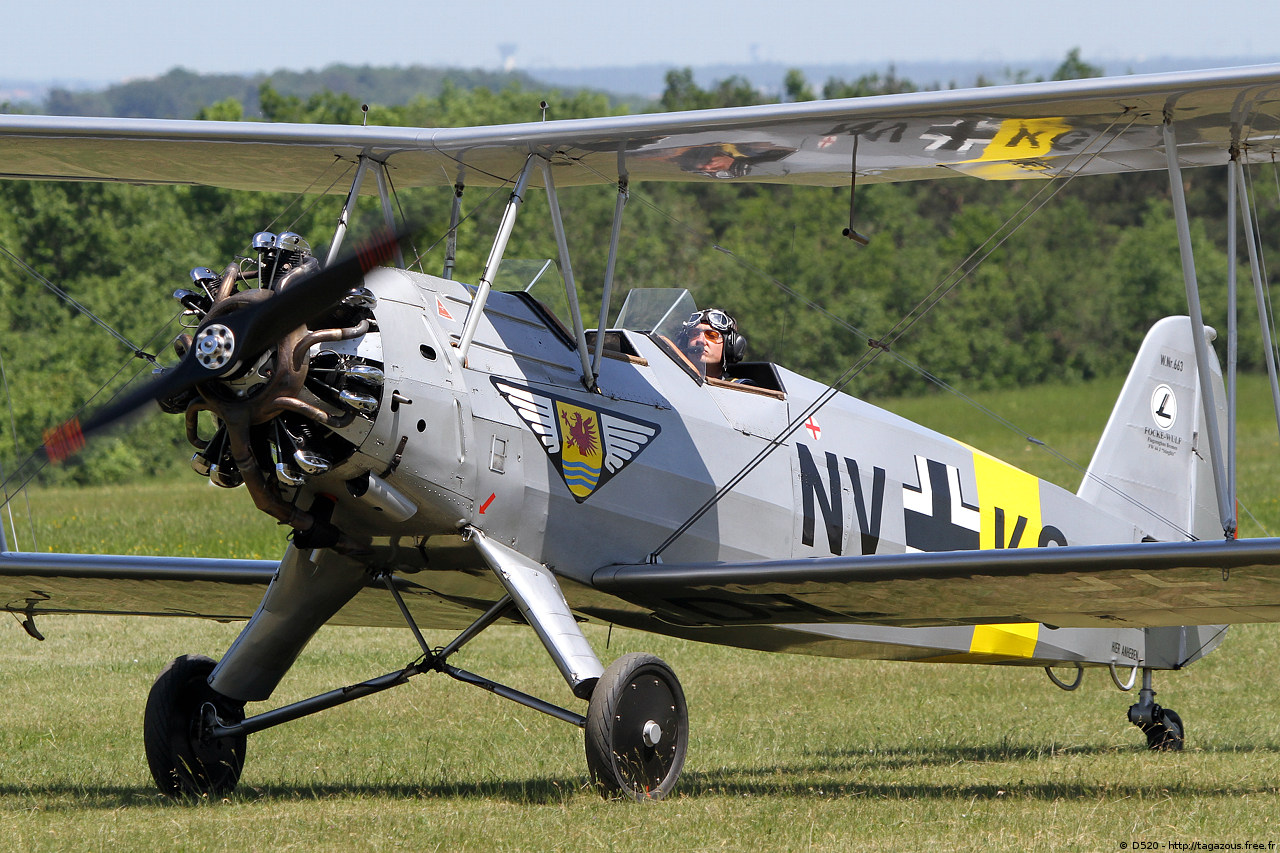 Focke-Wulf 44 Stieglitz - D-ENAY