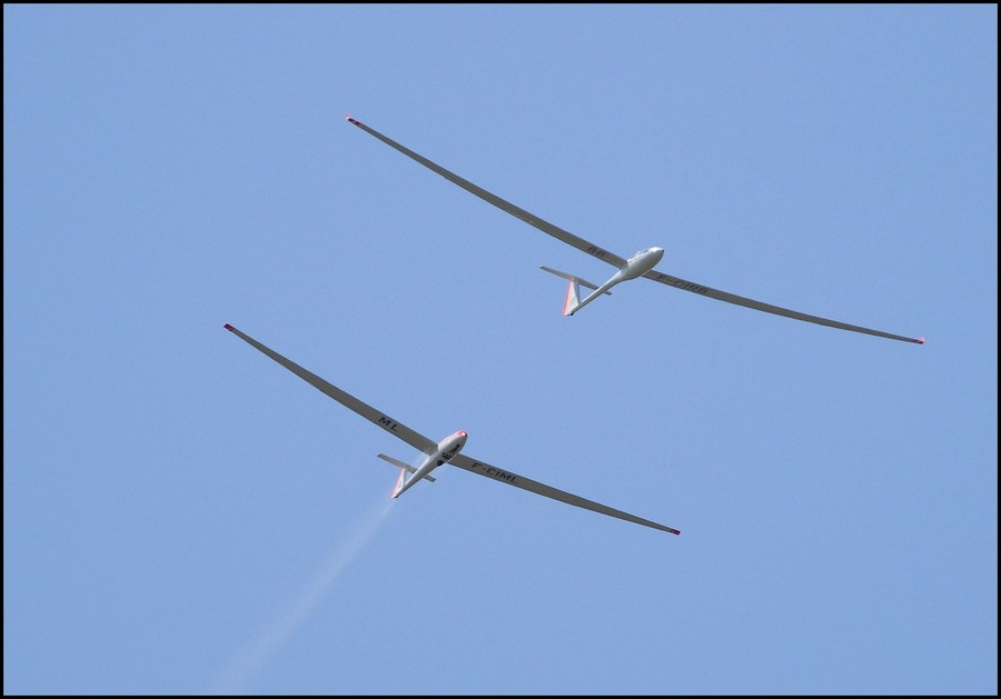 Schempp Hirth Janus - F-CIML