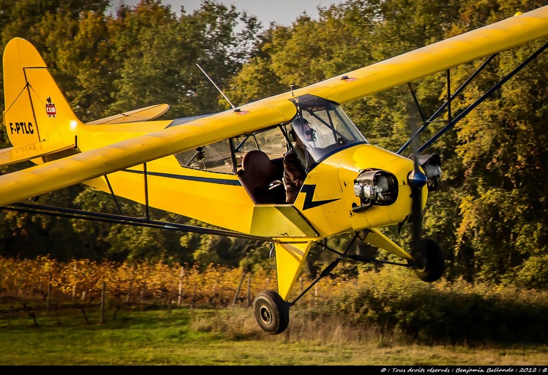 WAG Aero Sport Trainer - F-PTLC