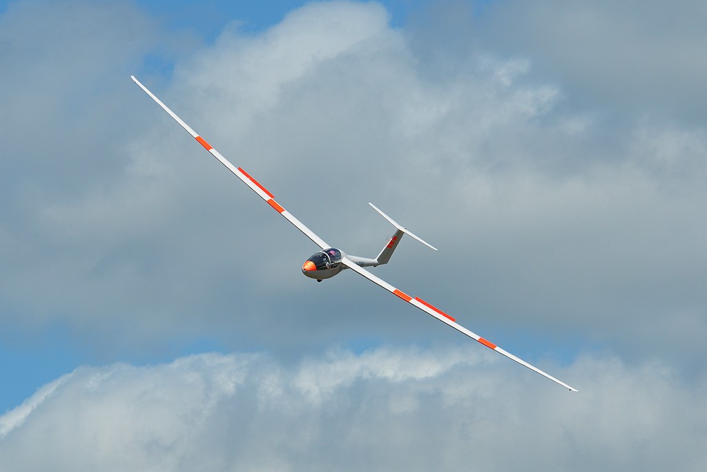 Rolladen Schneider LS1 - F-CDVV