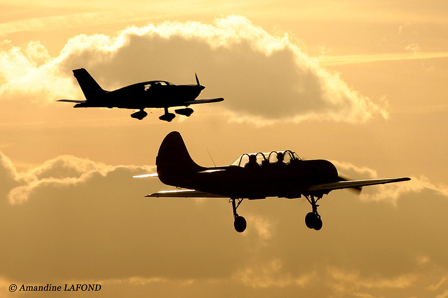 Yakovlev Yak-52 - RA-1474K