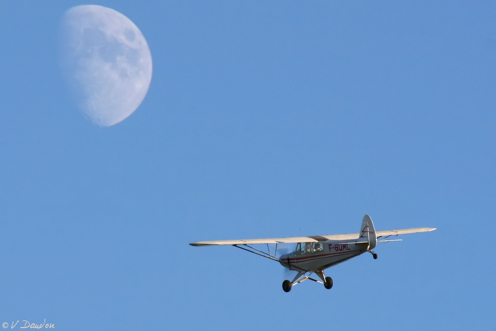 Piper PA-19 Super Cub - F-BOML