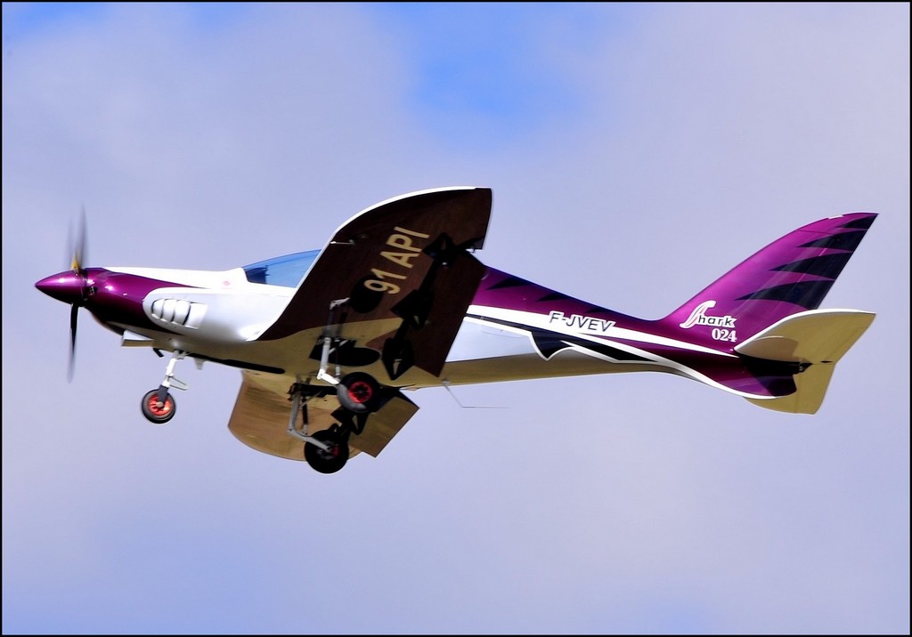 Shark - F-JVEV/91 API