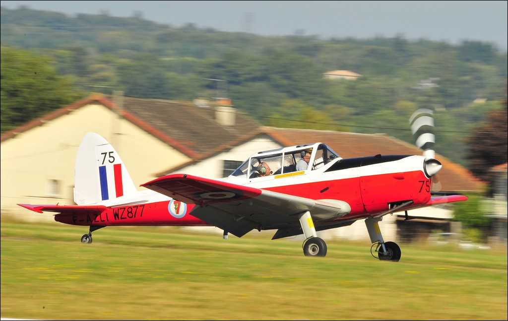 De Havilland Canada DHC-1 Chipmunk - F-AZLI