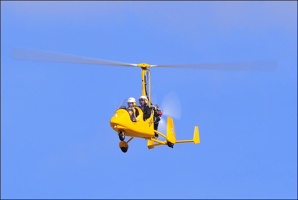 Magni Gyro M-16 Tandem Trainer - 21 XZ