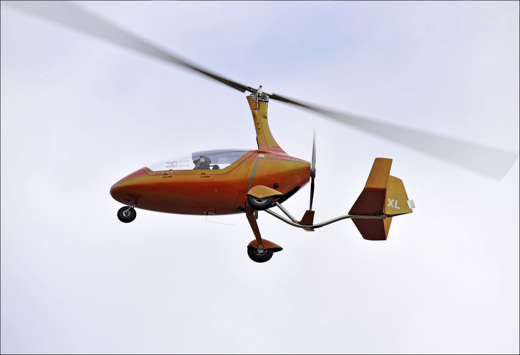 AutoGyro Calidus - 51 XL