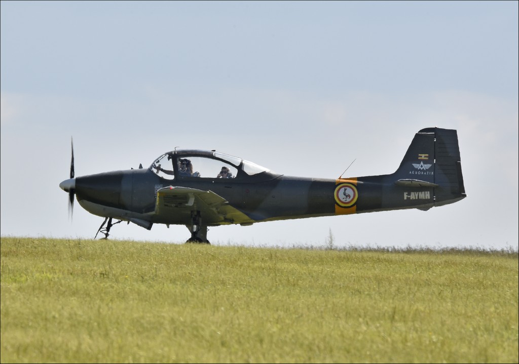 Piaggio FW P 149D - F-AYMH