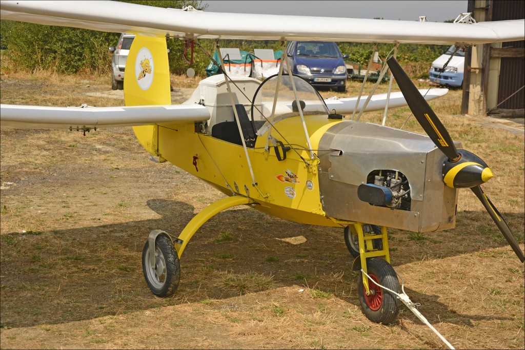 Henri Mignet HM 293 - (HM293)