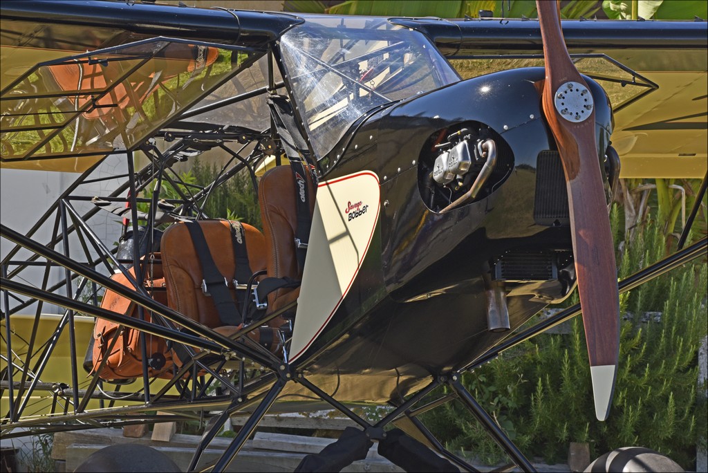 Zlin Aviation Savage Bobber - F-JAYT/24 XX