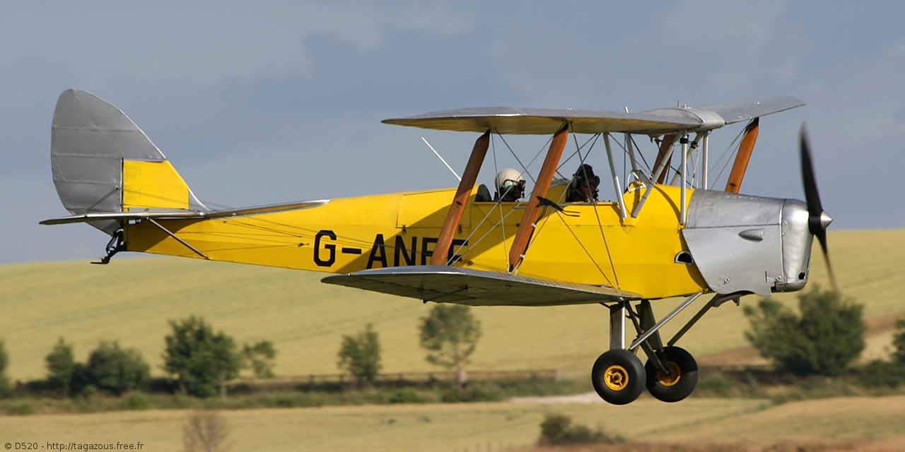 De Havilland DH 82 Tiger Moth - G-ANPE