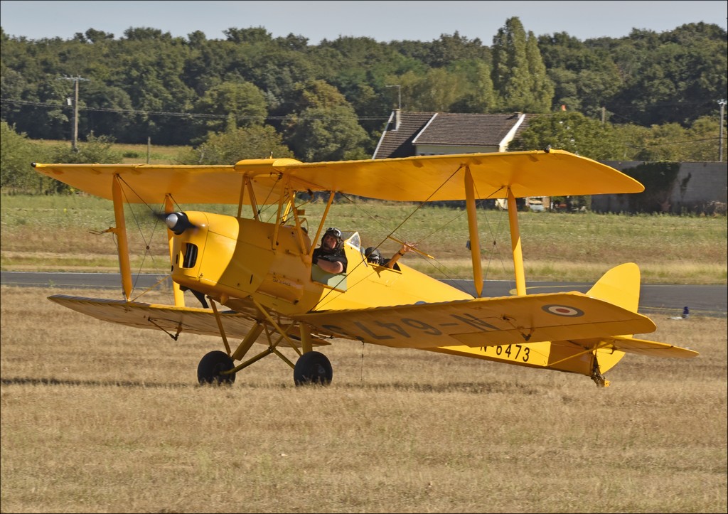 De Havilland DH 82 Tiger Moth - G-AOBO/N6473
