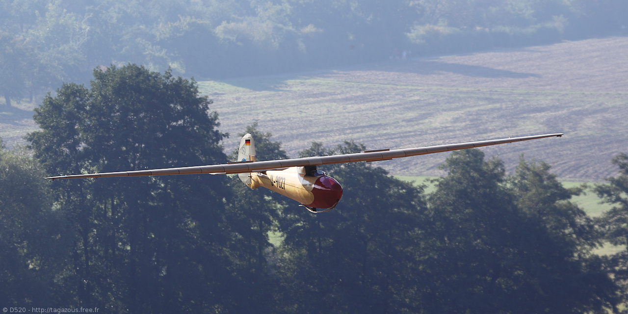 Schleicher Rhnbussard - D-9027
