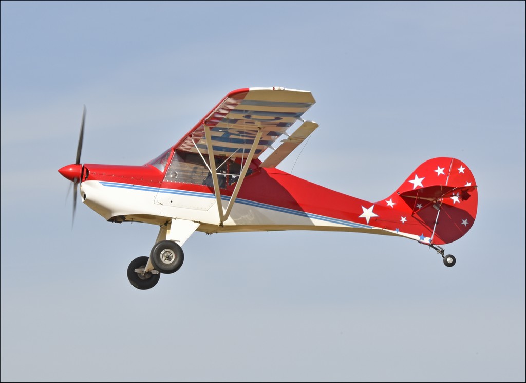 Avid Flyer - 72 RC