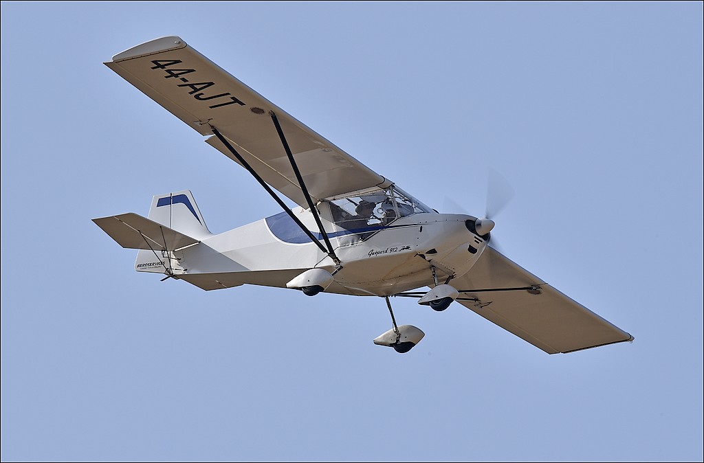 Aro Services Gupard - F-JZAP/44 AJT