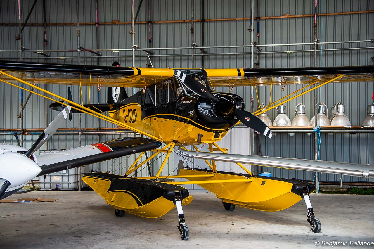 Aviat A-1 Husky - G-ODIP