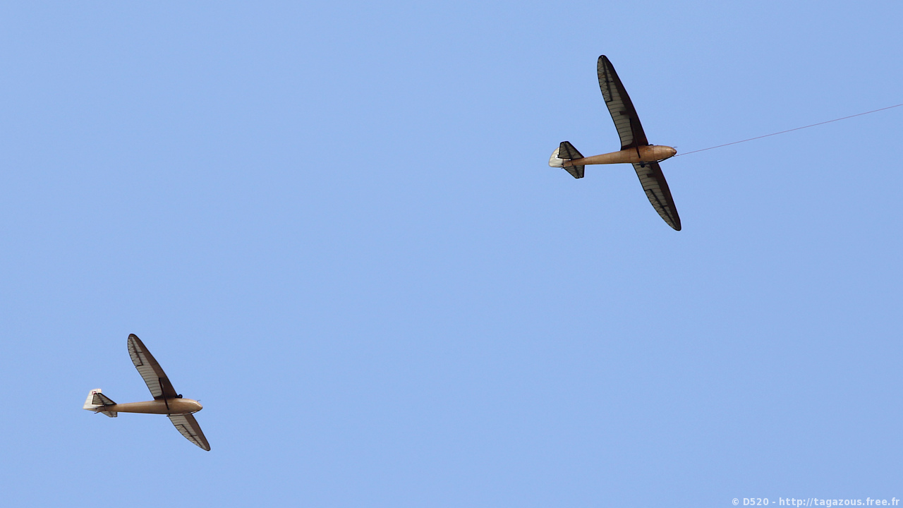 Slingsby T.6 Kirby Kite - BGA 310