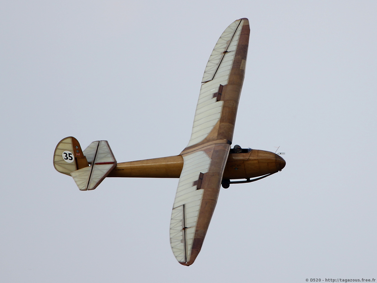 Slingsby T.6 Kirby Kite - BGA 310