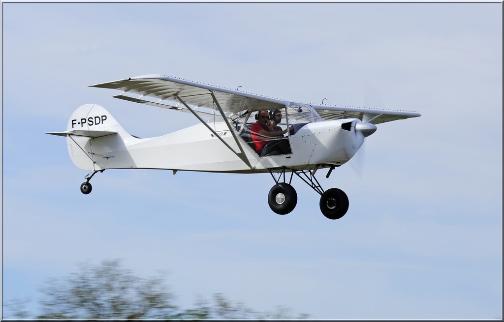 Avid Flyer Magnum - F-PSDP