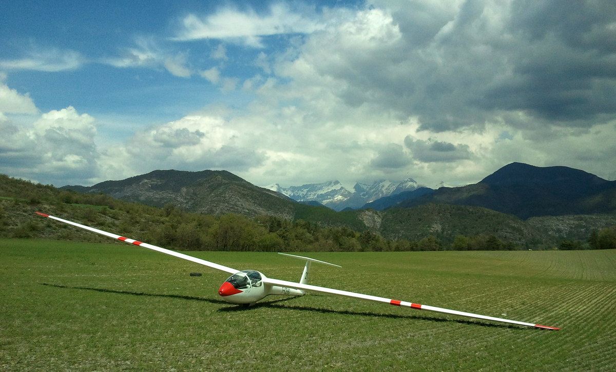 Rolladen Schneider LS1d - F-CEHD