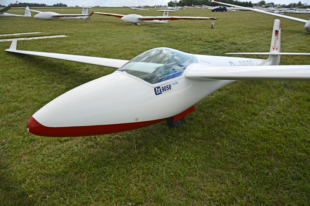 Glasflgel H-201 B Libelle - D-0929