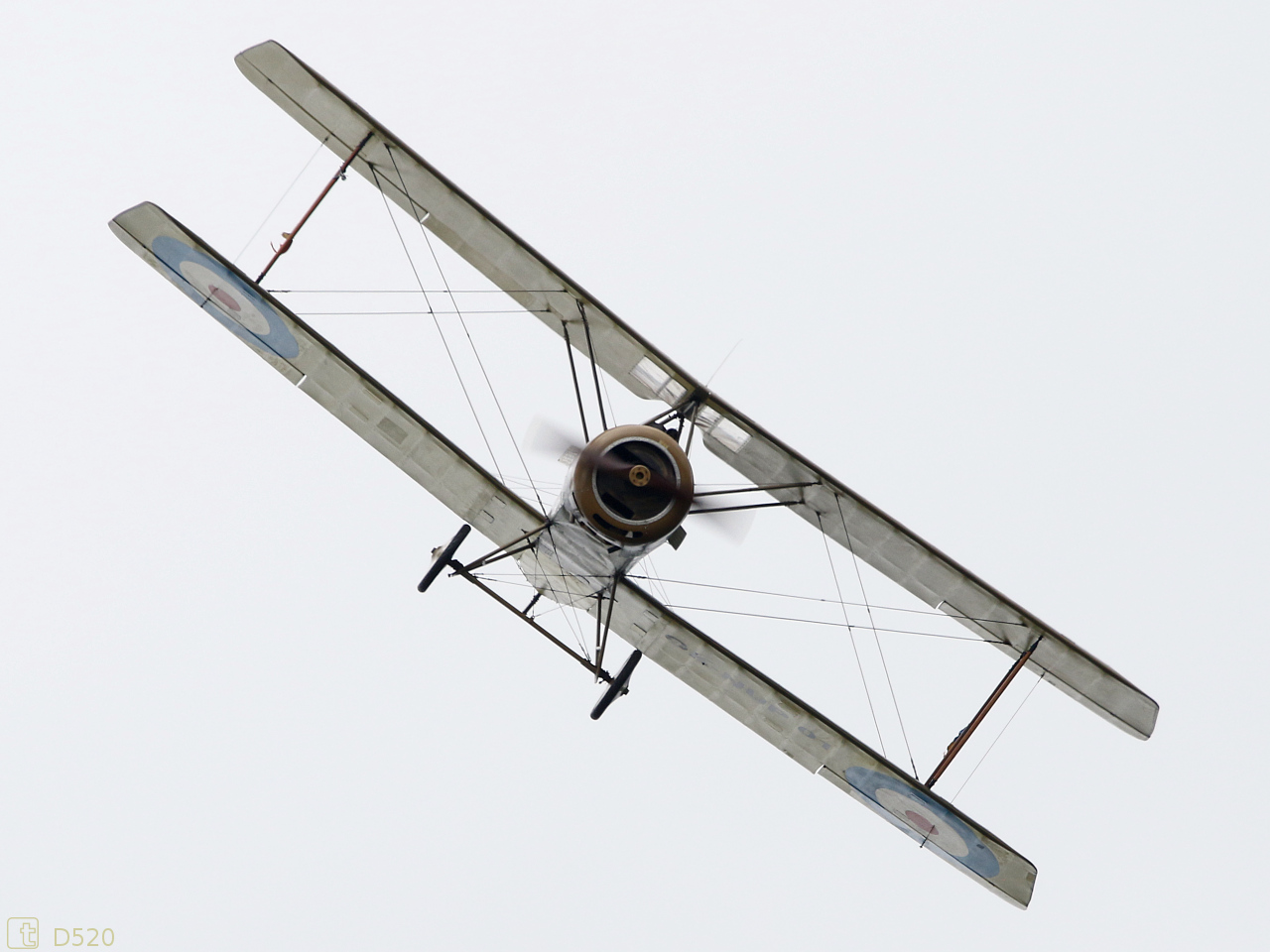 Sopwith 1 1/2 Strutter - OK-NUP 01
