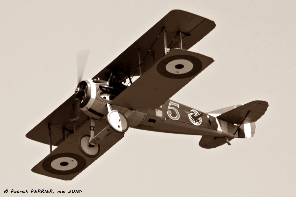 SPAD S.XIII - F-AZFP