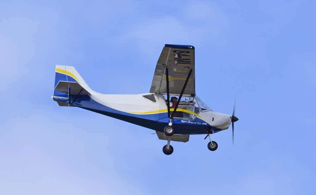 Aro Services Super Gupard - 84 ML