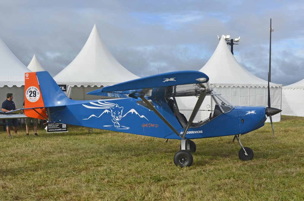 Aro Services Gupard - F-JZAP/44 AJT