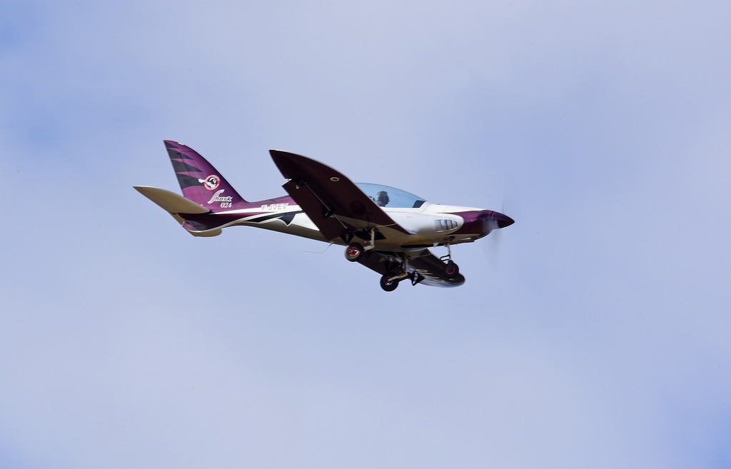Shark - F-JVEV/91 API