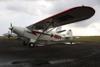 23520 - Piper PA-12 Super Cruiser D-EKFI