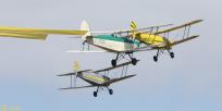 65333 - Stampe SV-4 F-PDMI