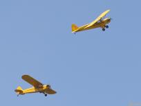 69586 - Piper J3 Cub OO-YOL