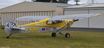 71831 - Piper PA-18 Super Cub F-HOBY