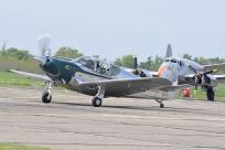 73084 - Globe GC-1B Swift N80903